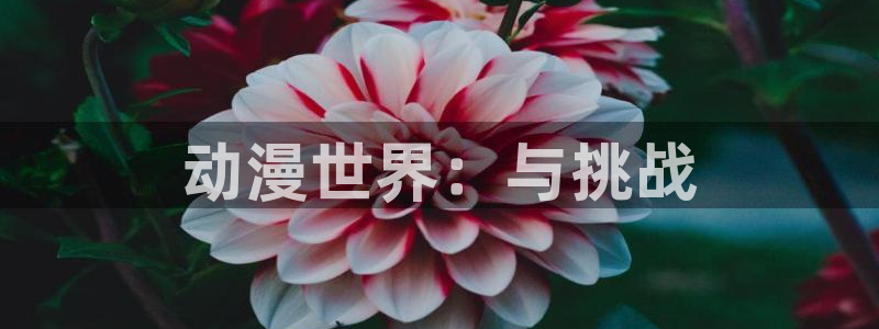 虫虫漫画免费漫画看在线看：动漫世界：与挑战
