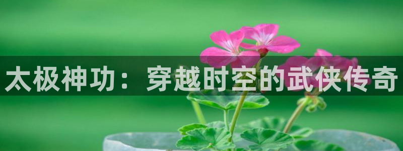 虫虫漫画免费下载app：太极神功：穿越时空的武侠传奇