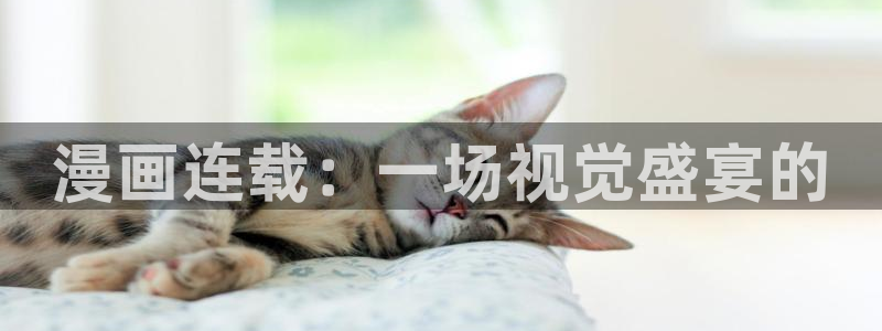 虫虫漫画免费入口怎么进：漫画连载：一场视觉盛宴的