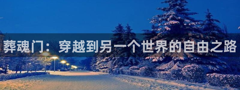 虫虫世界多奇妙漫画：葬魂门：穿越到另一个世界的自由之路