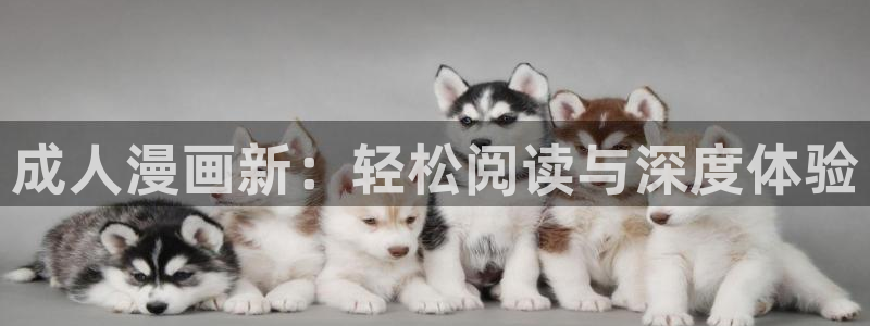 妖精歪歪汗汗虫虫漫画：成人漫画新：轻松阅读与深度体验