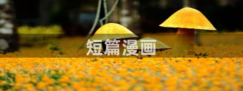 虫虫漫画免费漫画下拉式漫画星球：短篇漫画